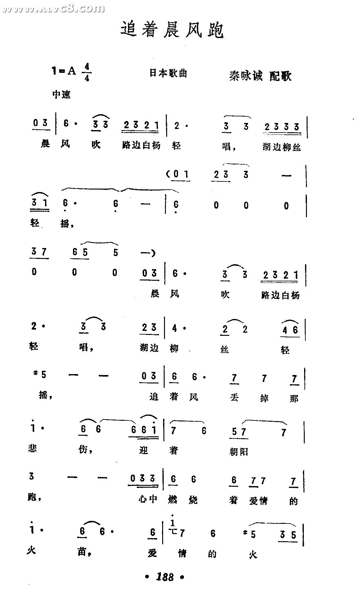 追着晨风跑