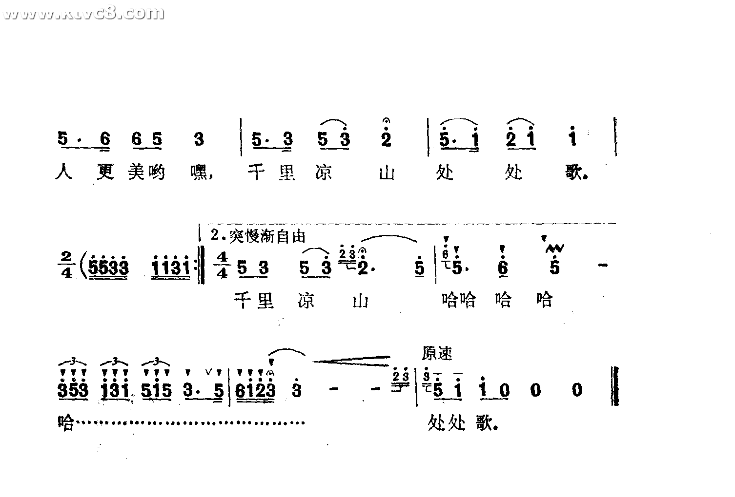彝家新歌年年多