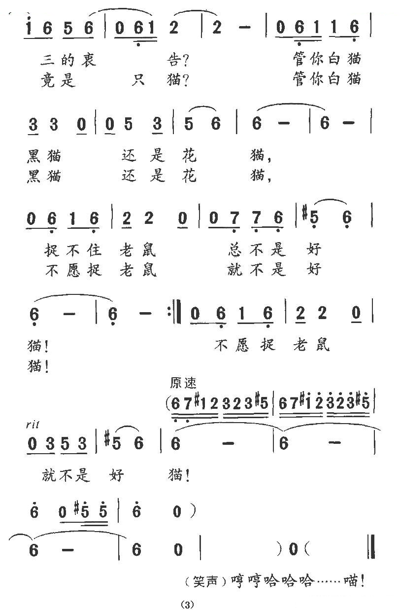 猫