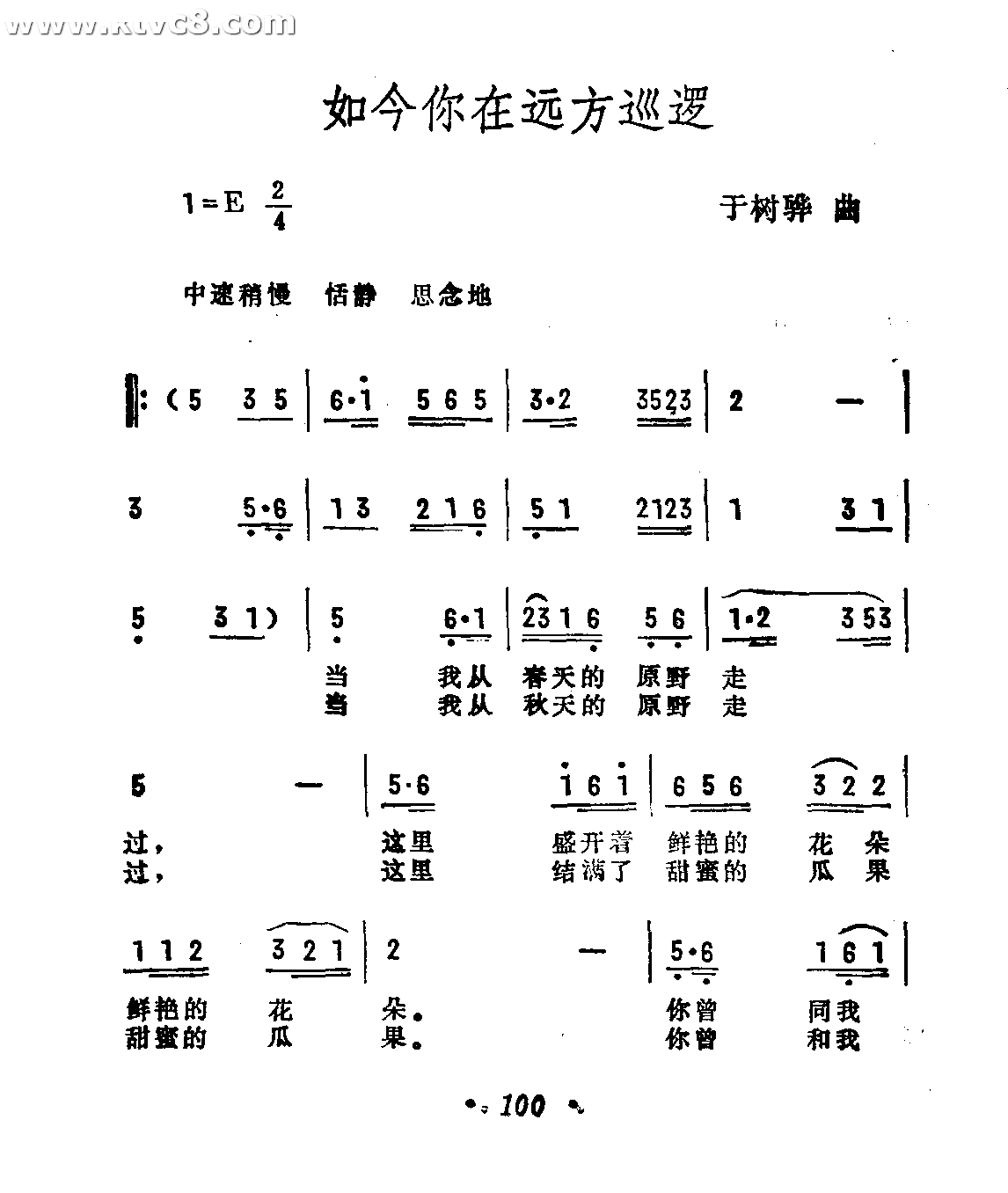 如今你在远方巡逻