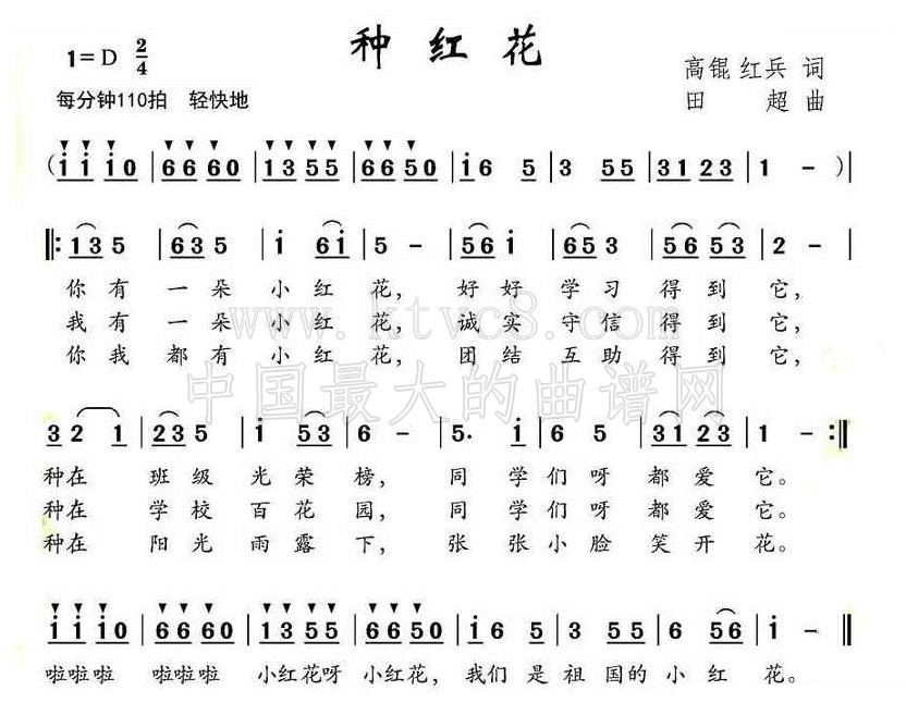 种红花（高琨 红兵词 田超曲） 