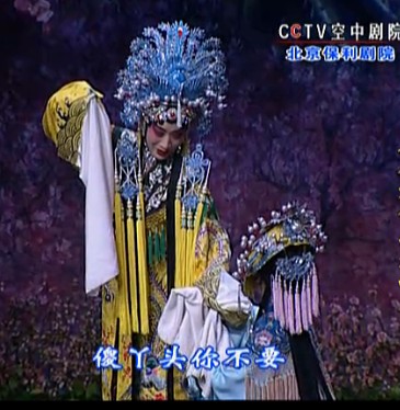 梅妃--傻丫头你不要伤心落泪（李海燕）