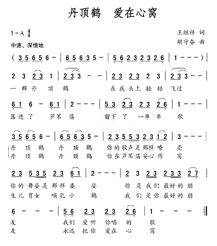 丹顶鹤 爱在心窝
