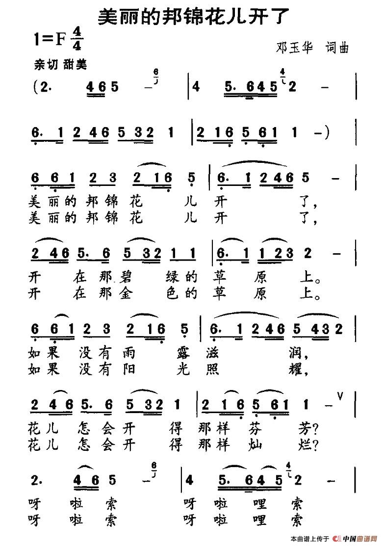 美丽的邦锦花儿开了