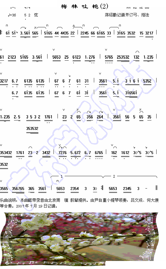 梅林吐艳 