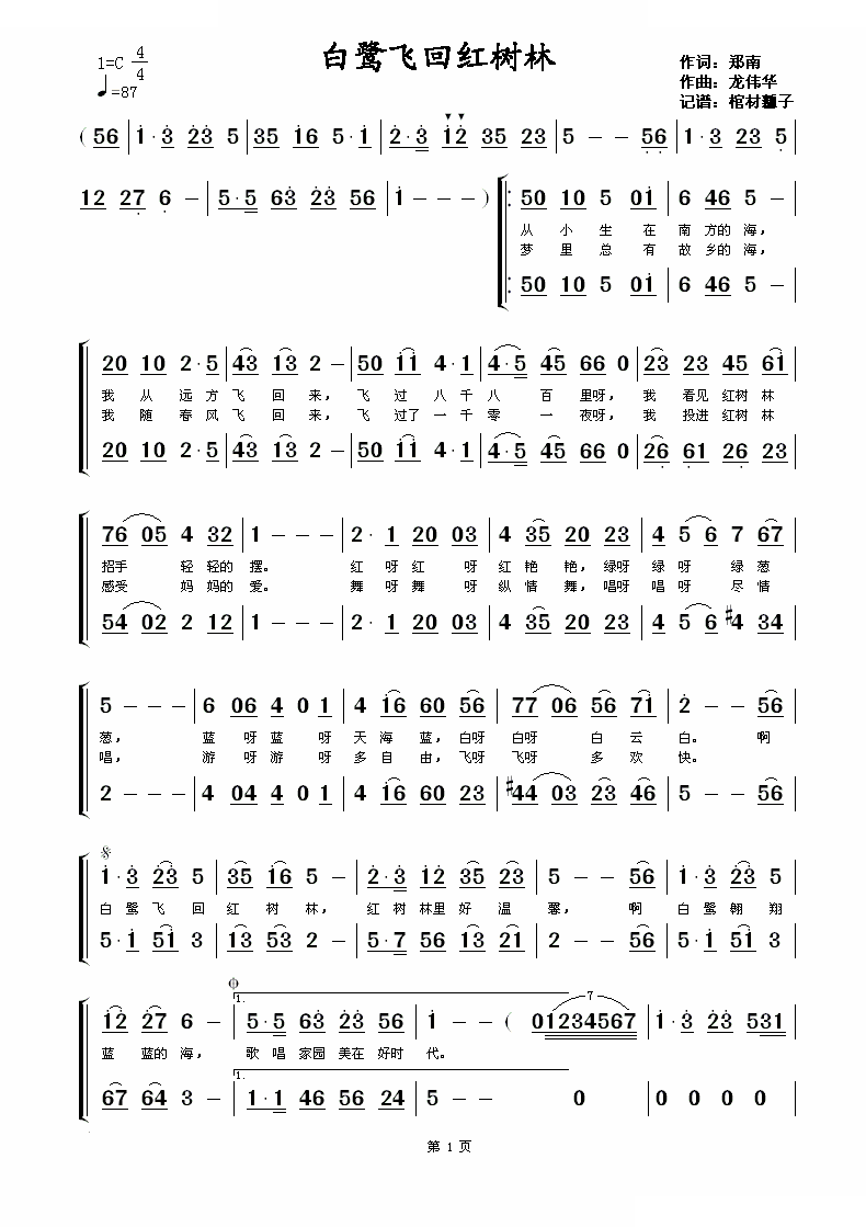 白鹭飞回红树林 