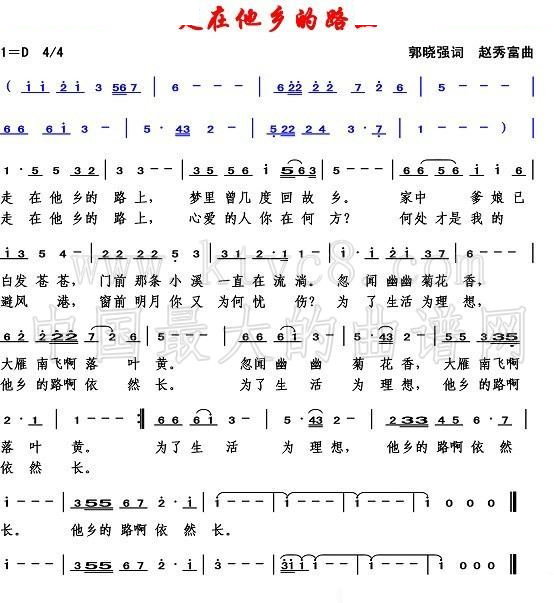 走在他乡的路上 