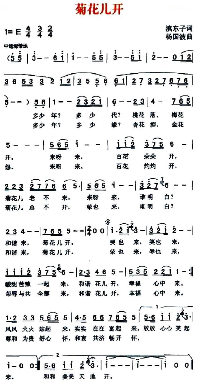 菊花儿开