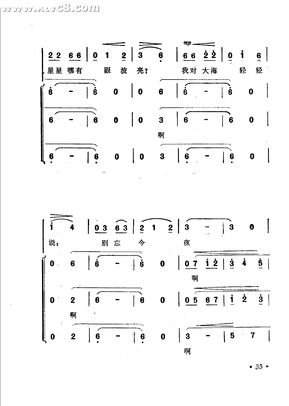 沙滩上