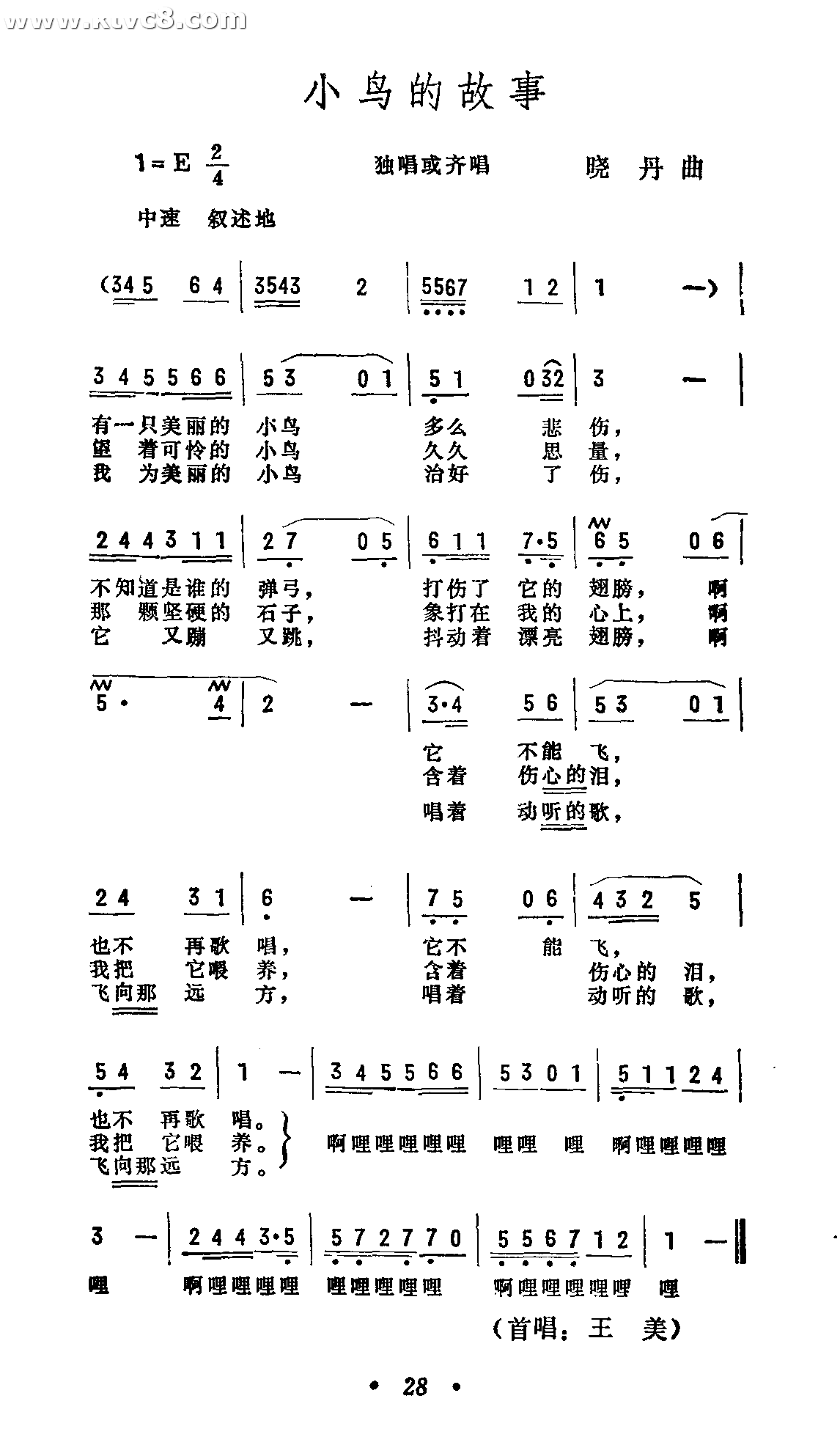 小鸟的故事
