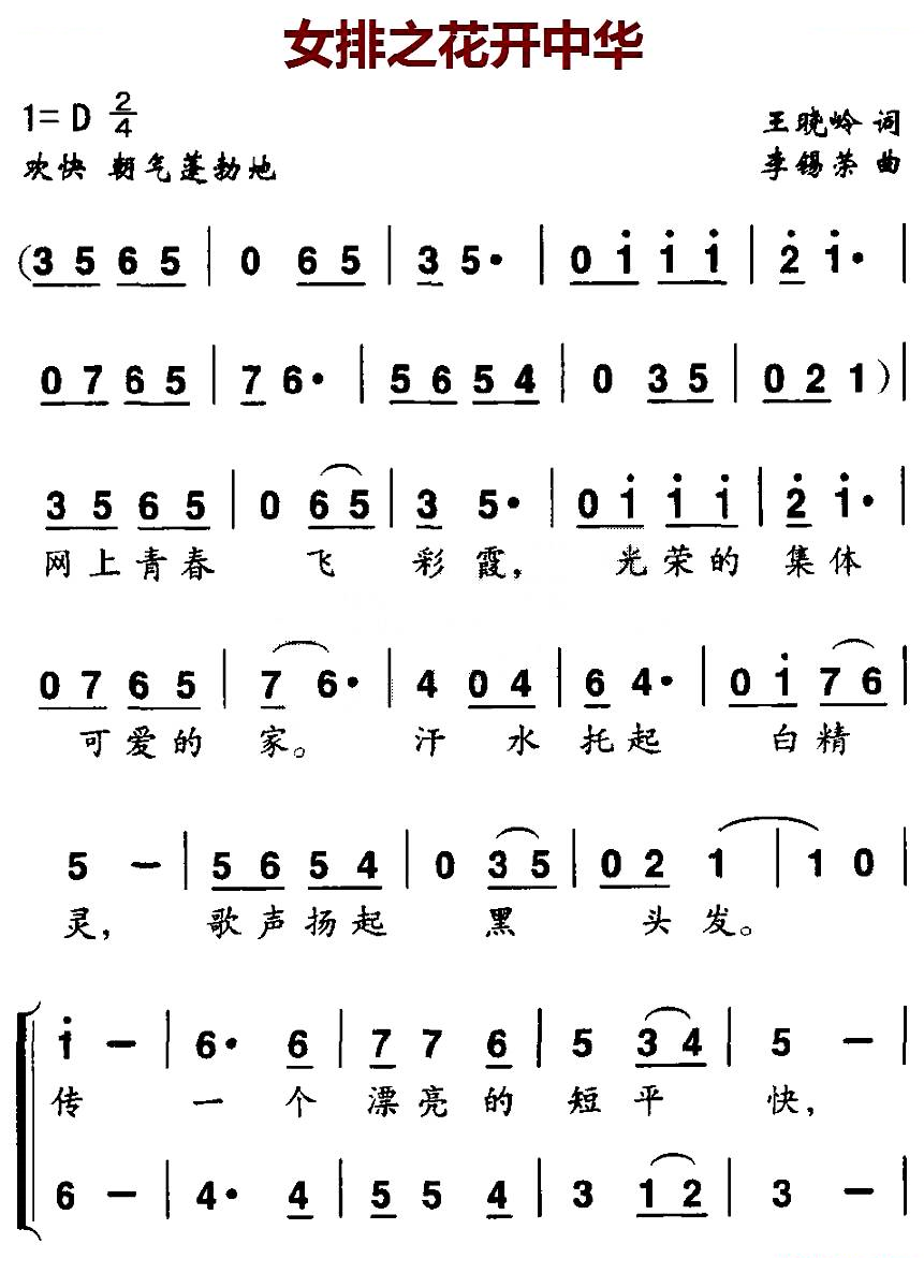 女排之花开中华