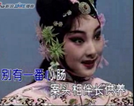 (抄转)人面桃花--拣取花枝慢端详