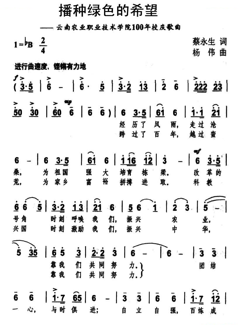播种绿色的希望