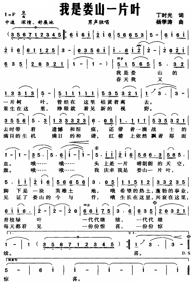 我是娄山一片叶