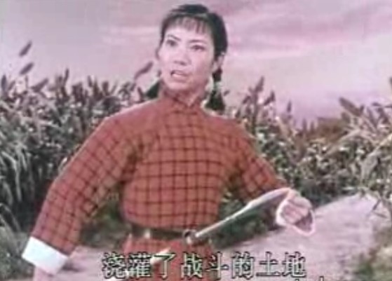 （抄转）平原作战--做一个中华好儿女
