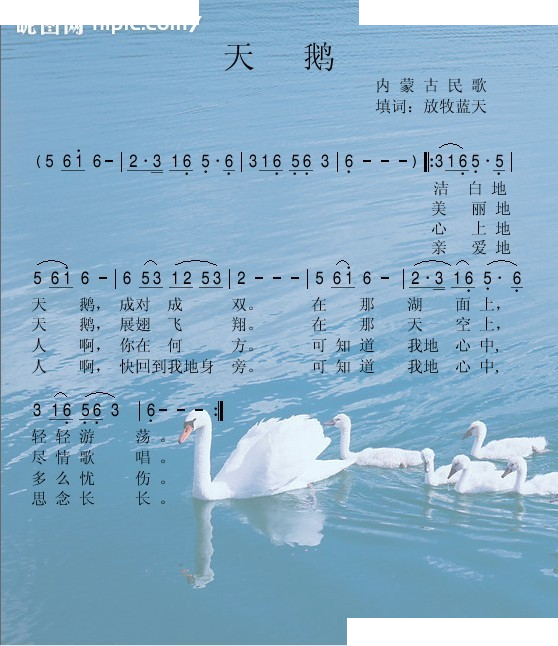 天鹅