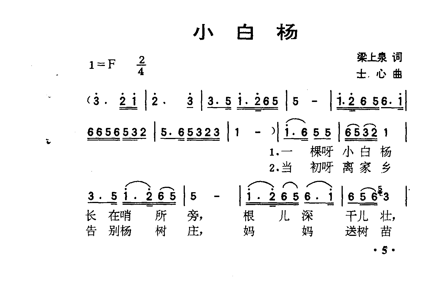小白杨