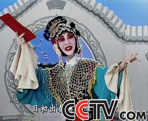 (剪转)红娘--小姐你多风彩（孙毓敏）
