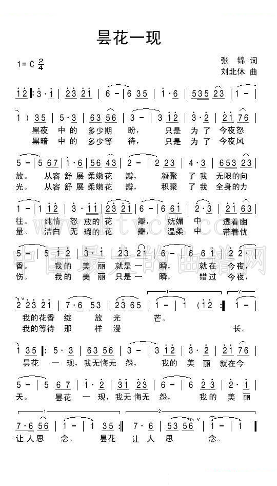 昙花一现 
