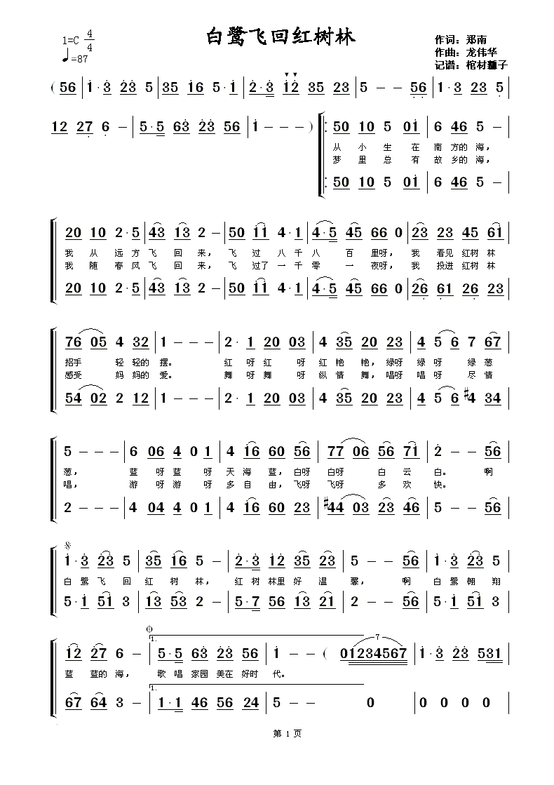 白鹭飞回红树林 