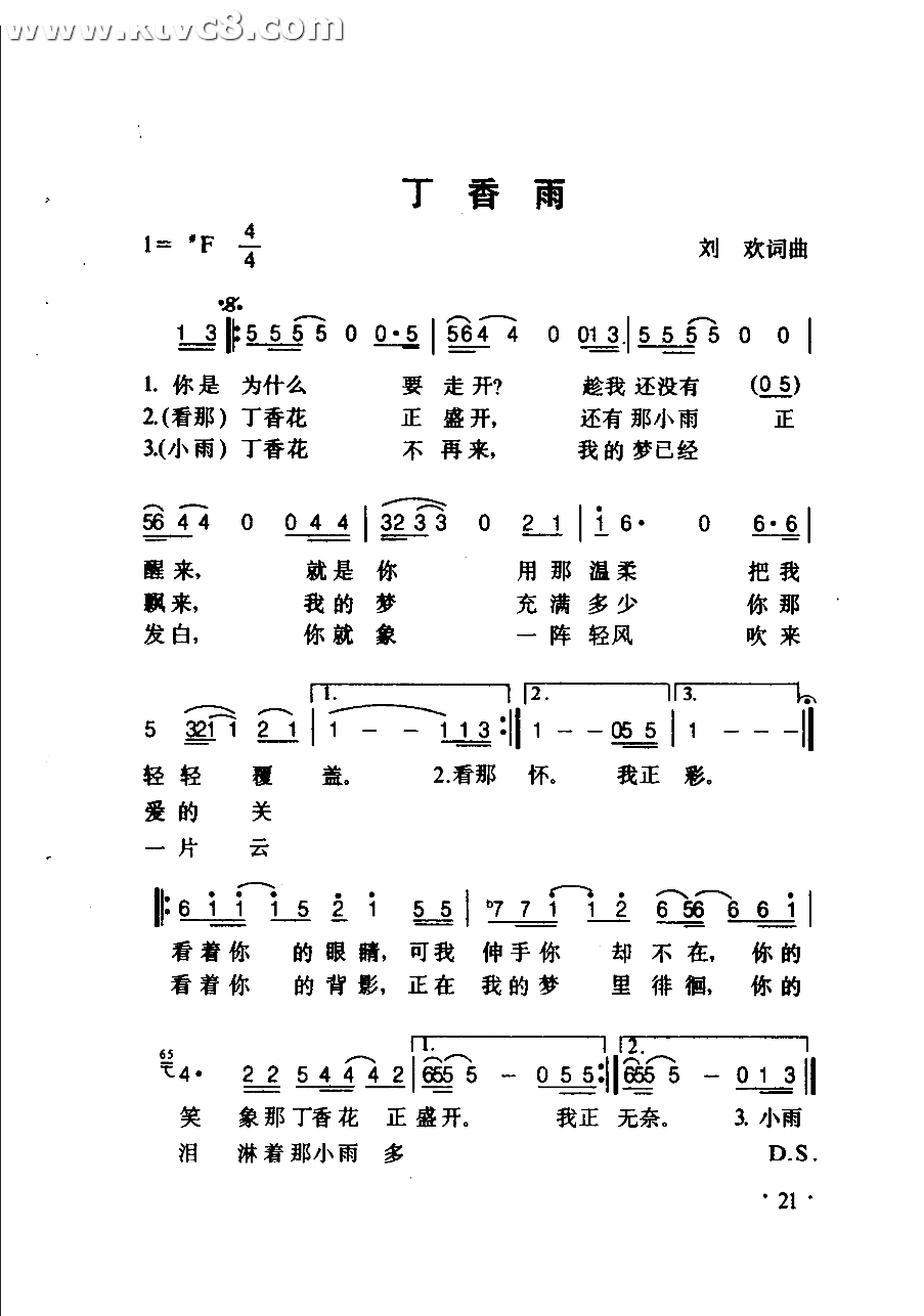 丁香雨