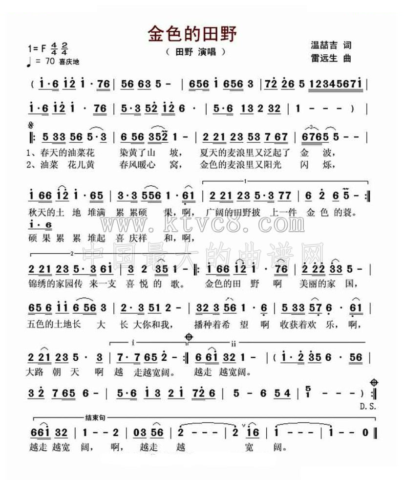金色的田野（田野） 