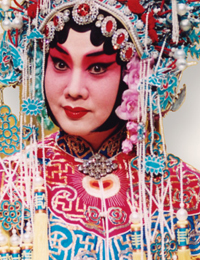状元媒--到此时顾不得抛头露面