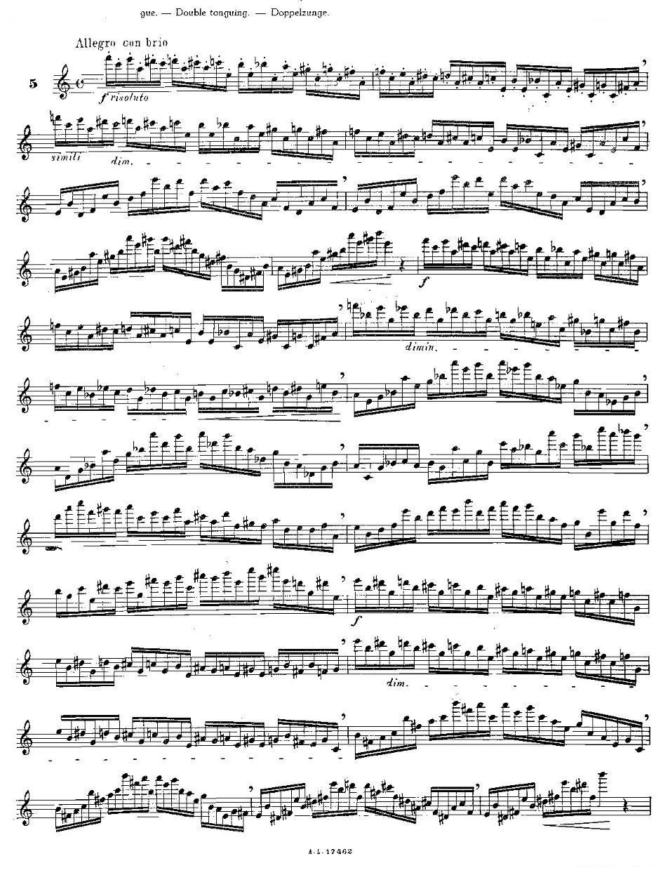 12首大技巧练习曲之5 