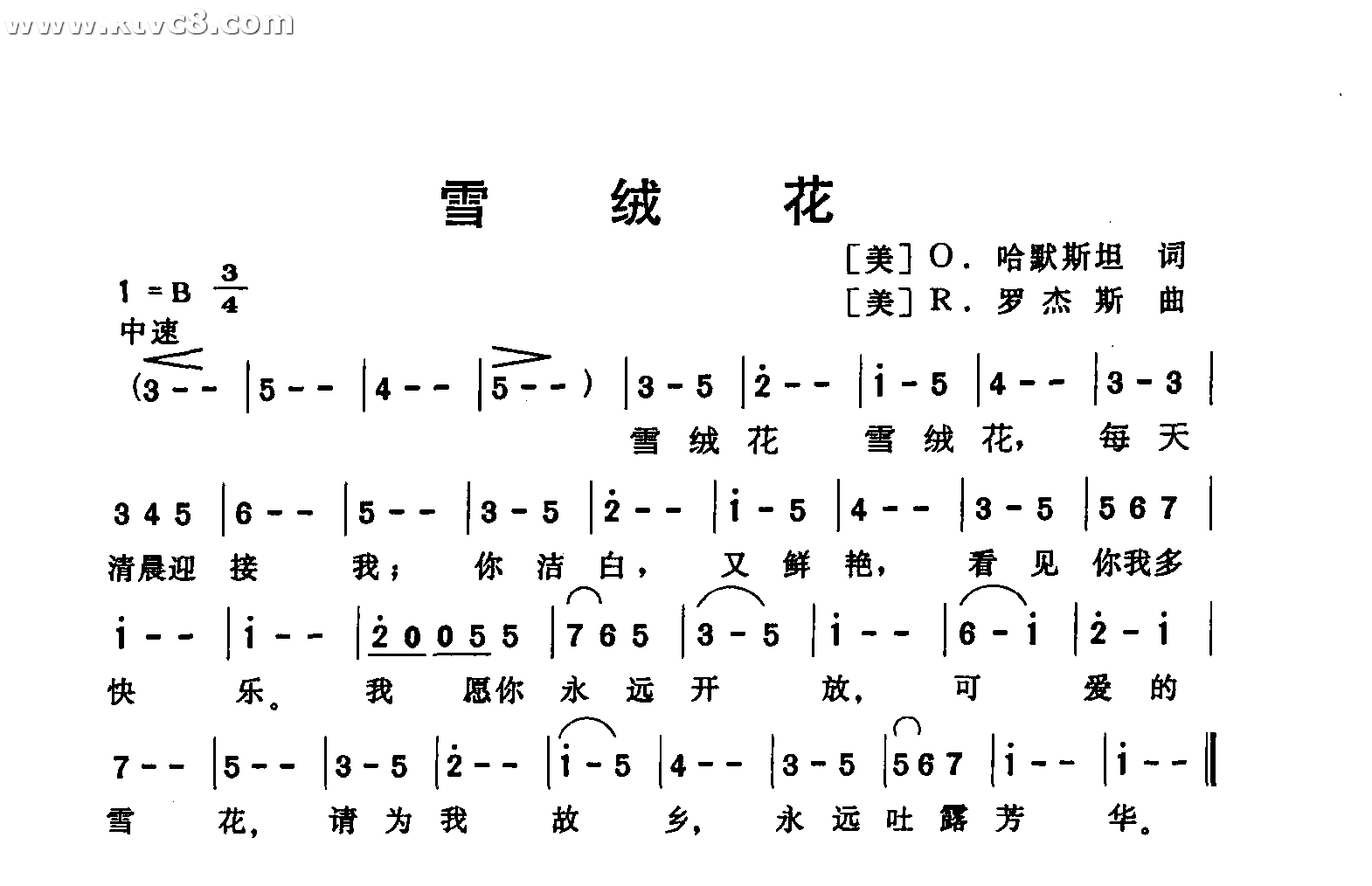 雪绒花