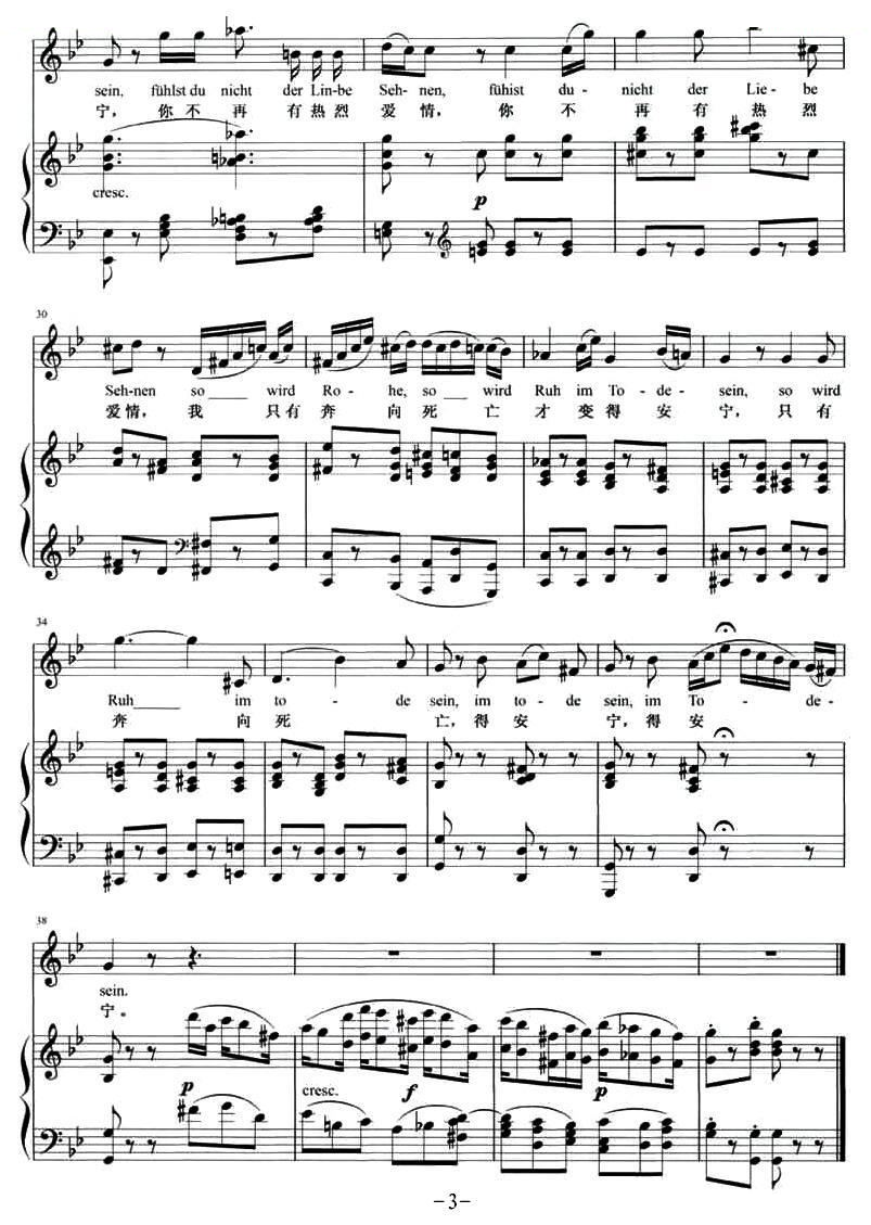 我失去一切幸福（歌剧魔笛选曲）