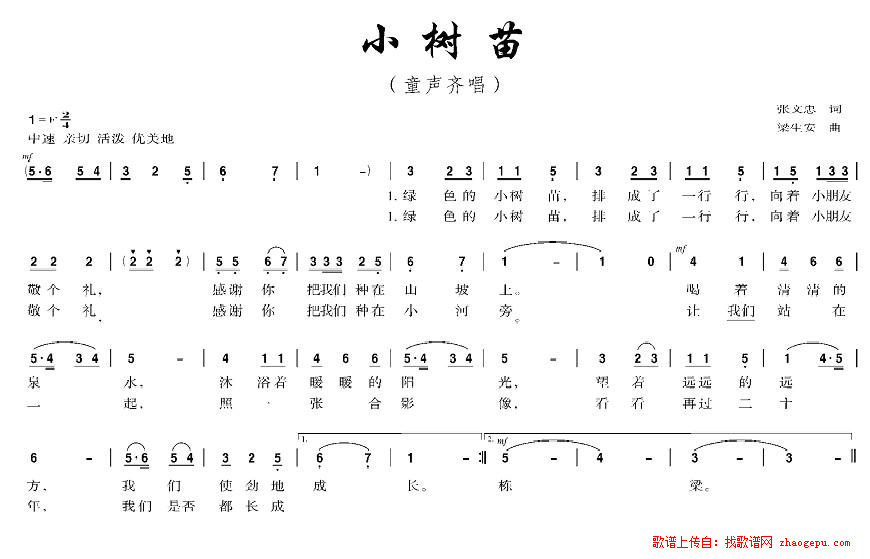 小树苗