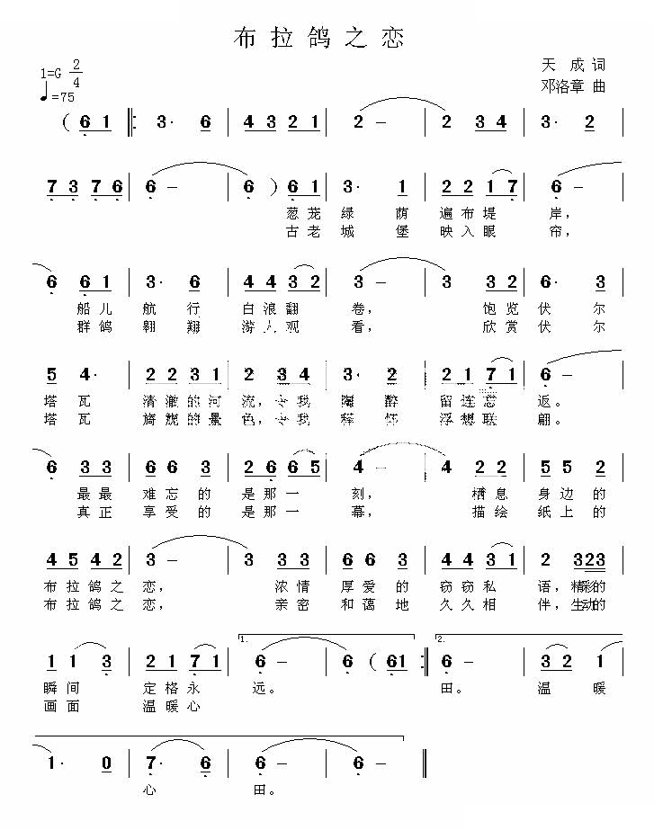 布拉鸽之恋