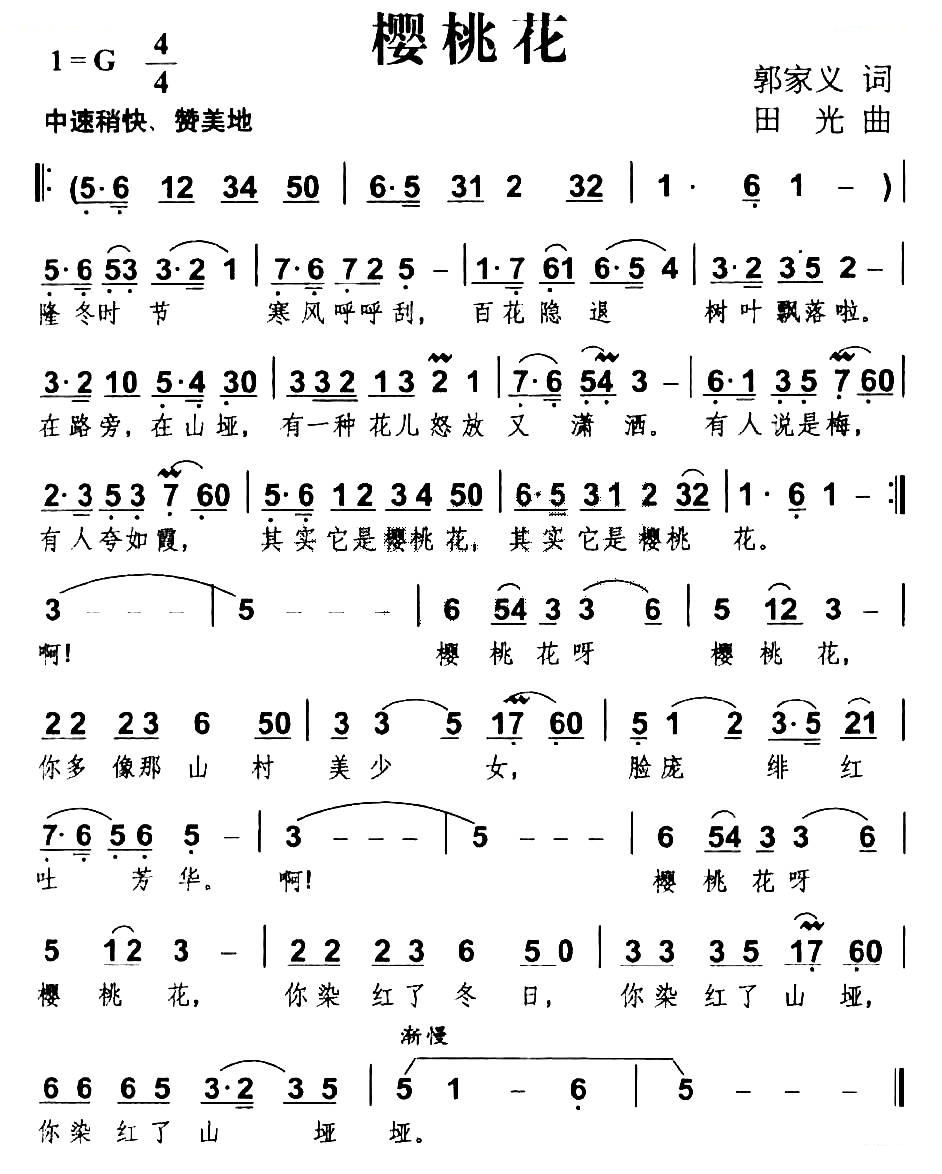 樱桃花