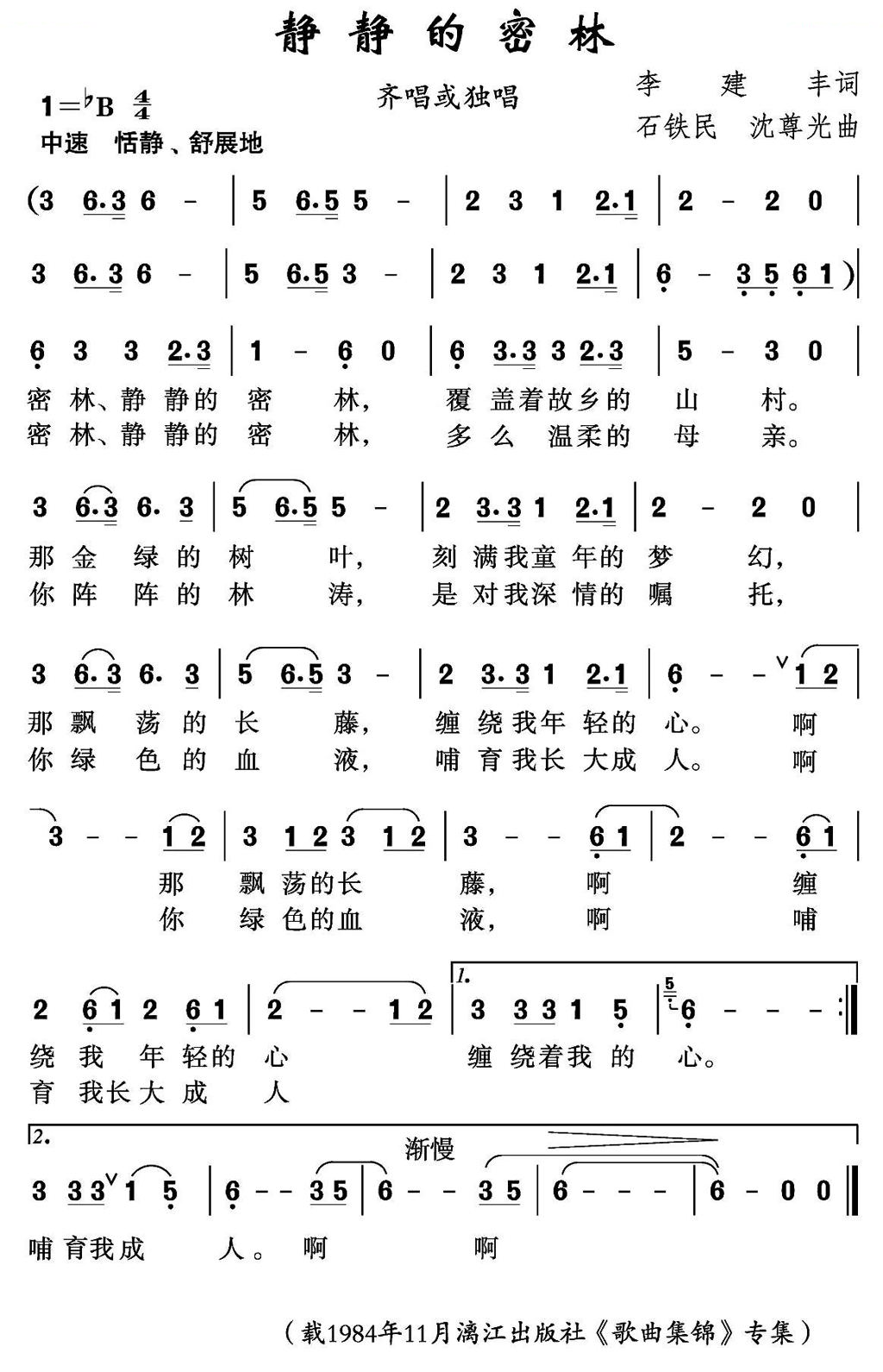 静静的密林