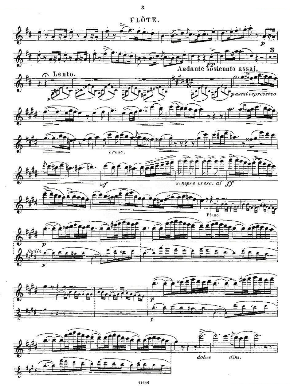 Opern-Transcriptionen.Op.45-2 笛萧谱