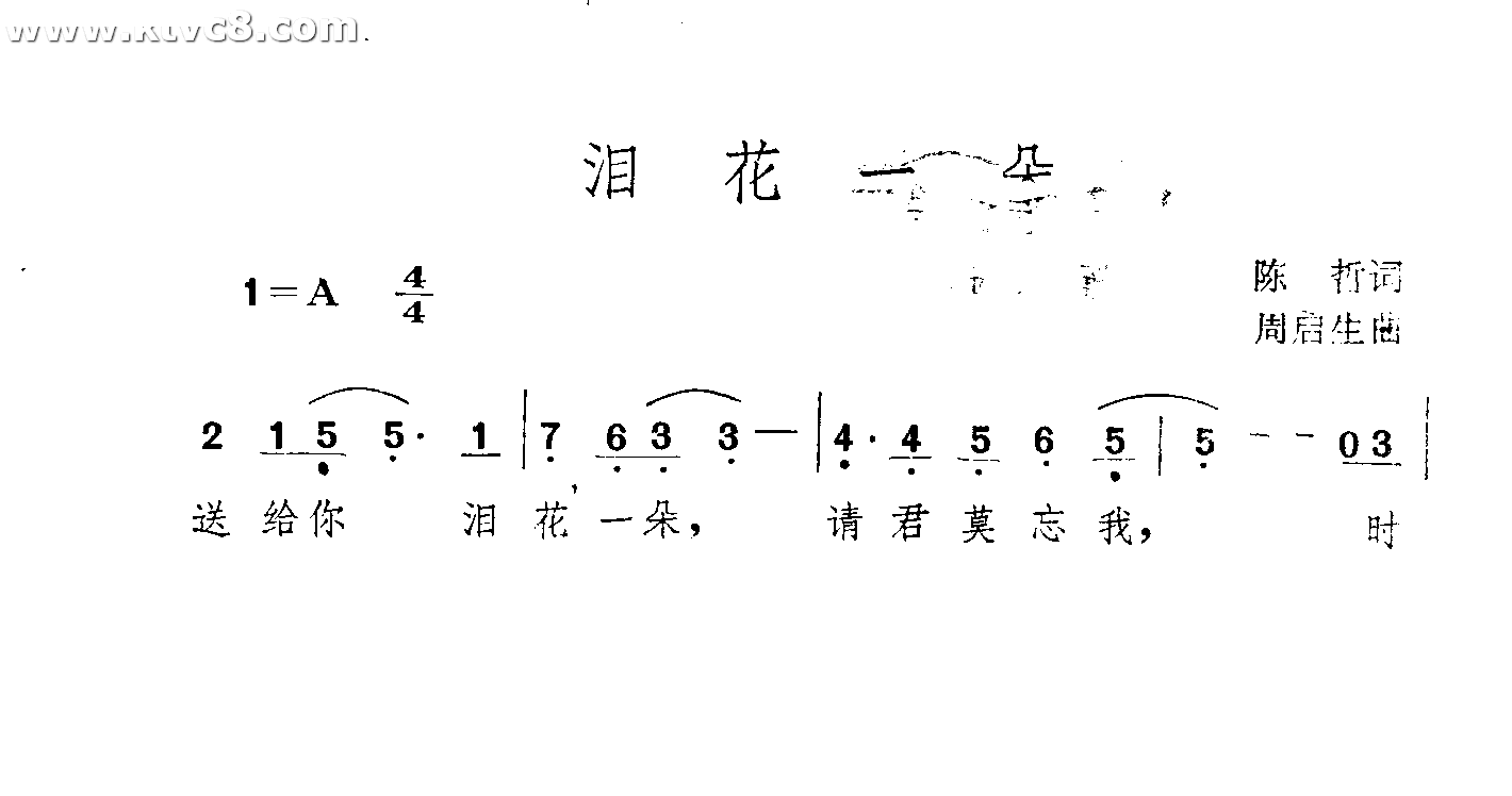 泪花一朵