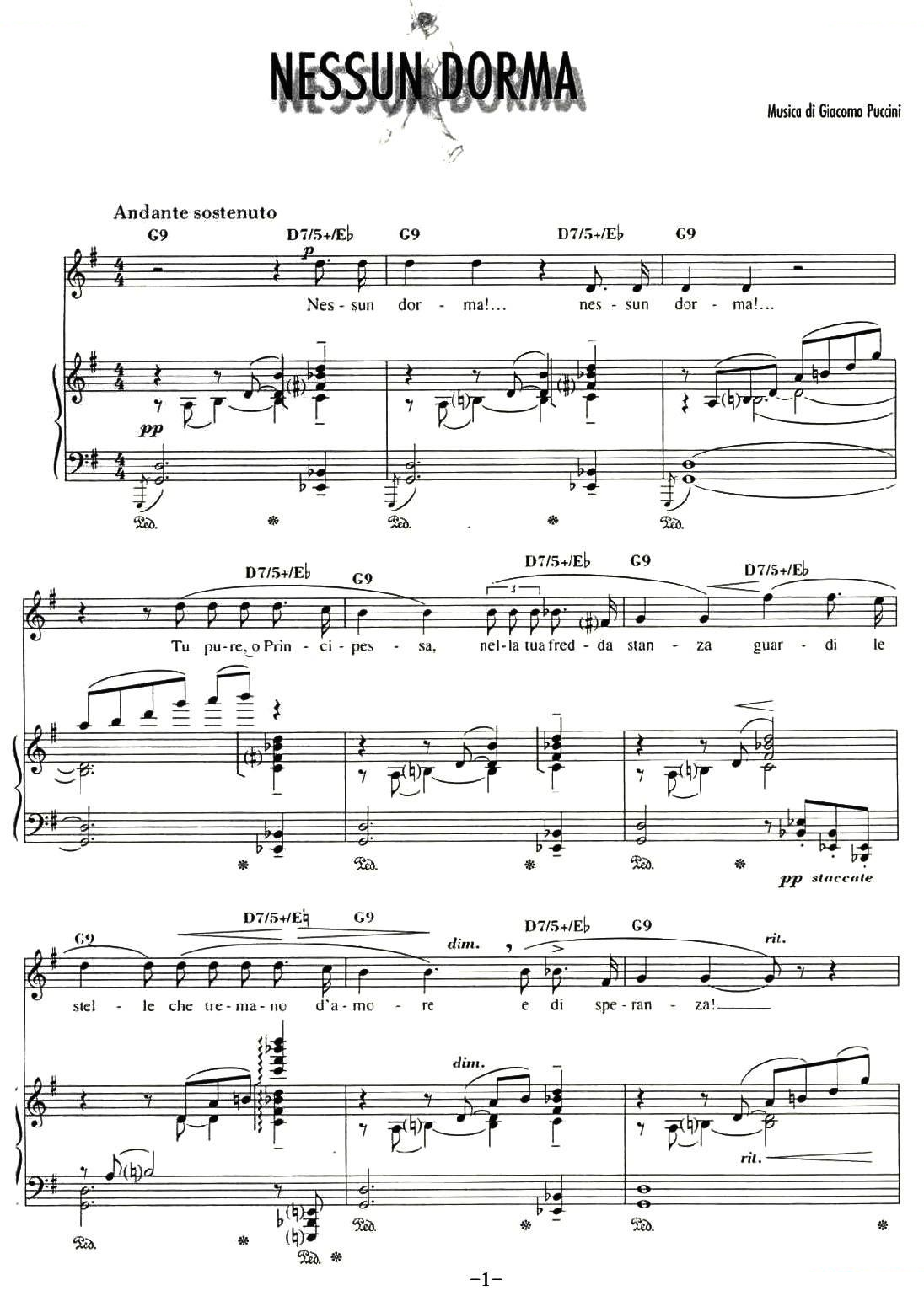 今夜无人入眠（歌剧兰朵选曲、正谱）
