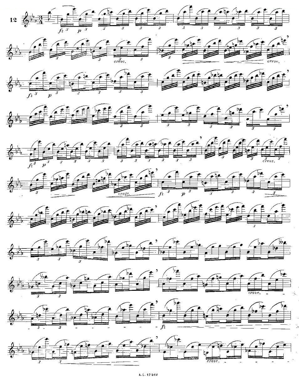 12首大技巧练习曲之12 