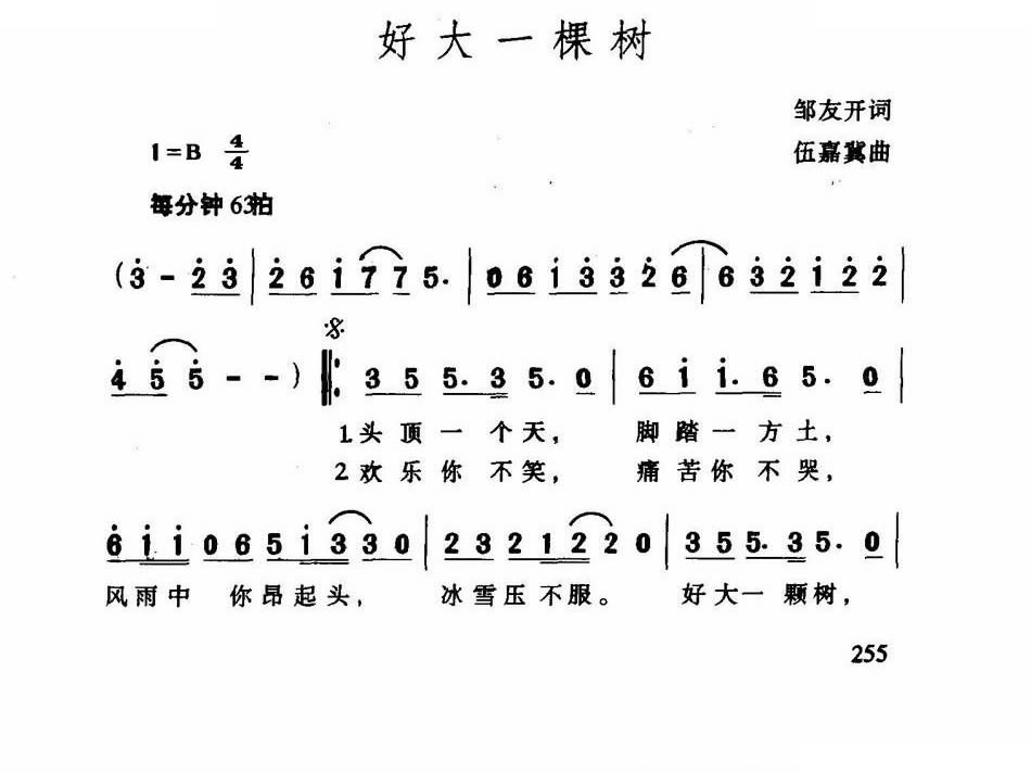 好大一棵树
