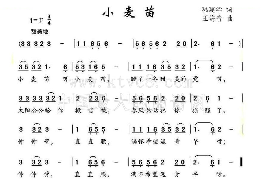 小麦苗 