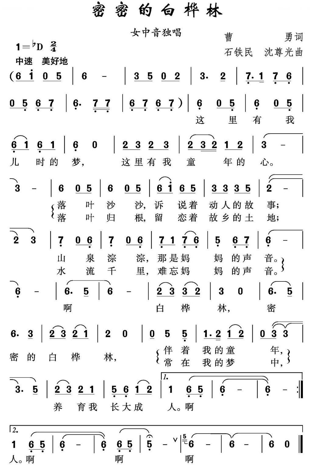 密密的白桦林