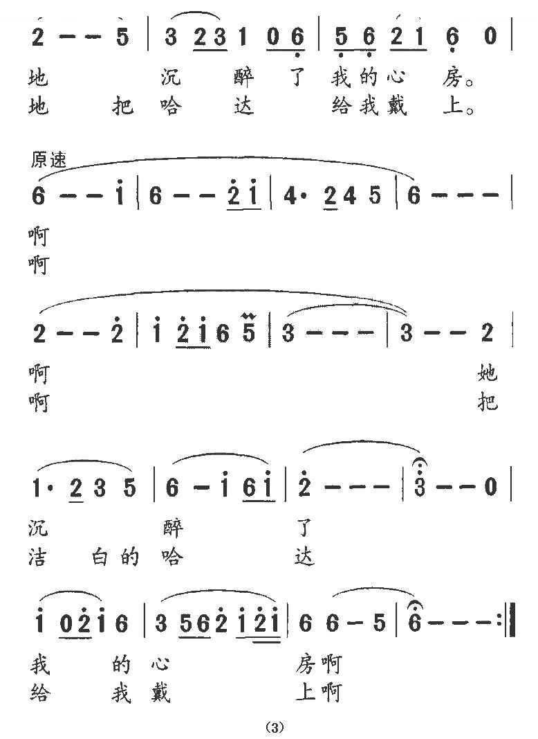 美丽的金银滩上