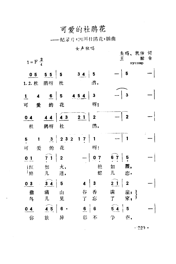 可爱的杜鹃花