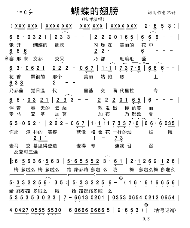 蝴蝶的翅膀