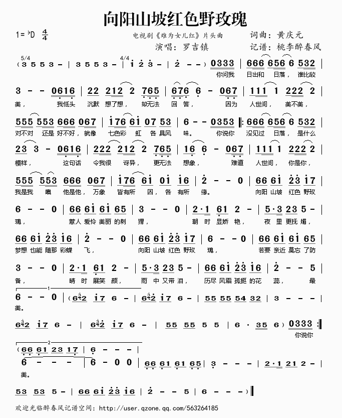 向阳山坡红色野玫瑰