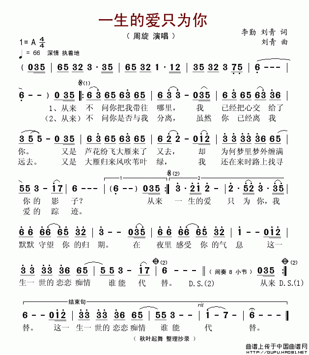 一生的爱只为你