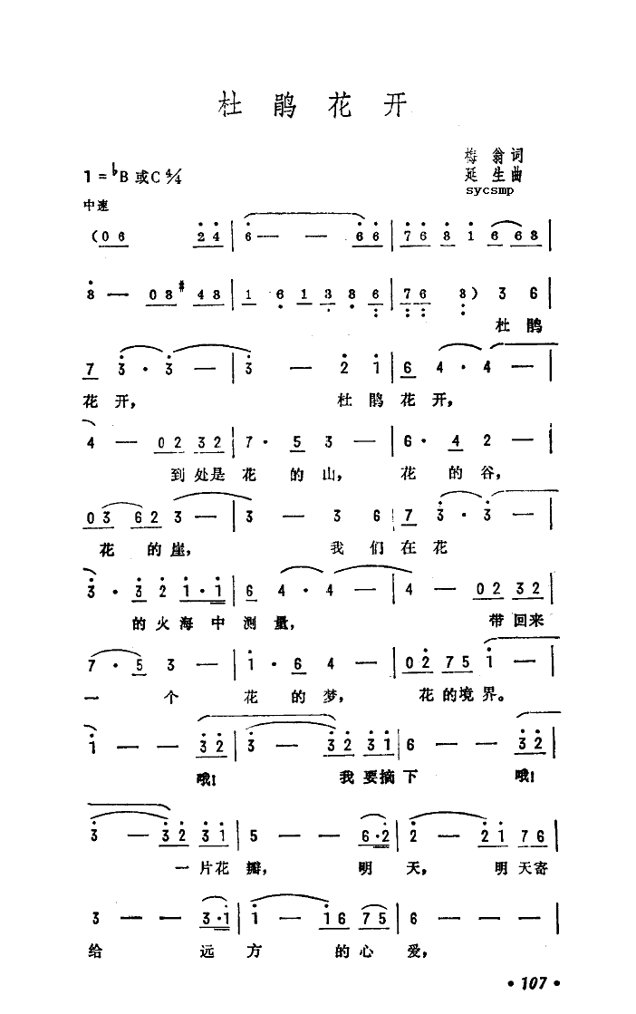 杜鹃花开了