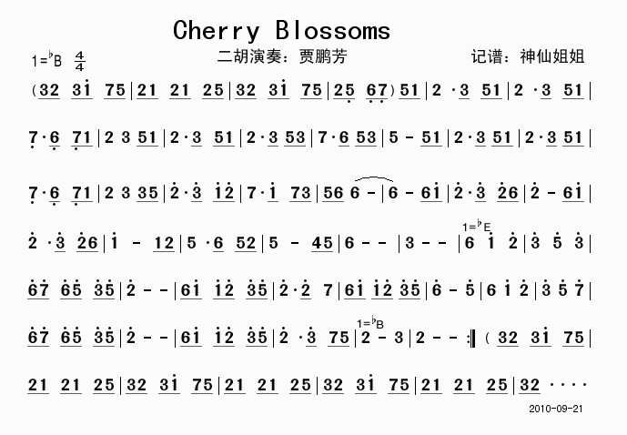 Cherry Blossoms