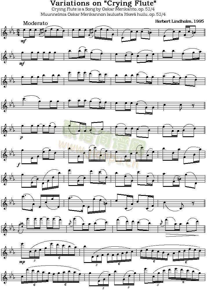 crying flute  笛萧谱