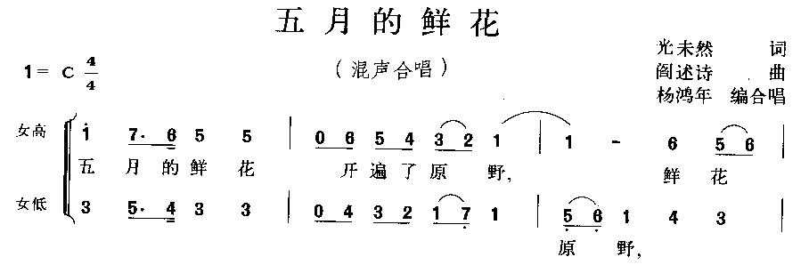 五月的鲜花